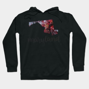 maryland - calligraphy and abstract state outline Hoodie